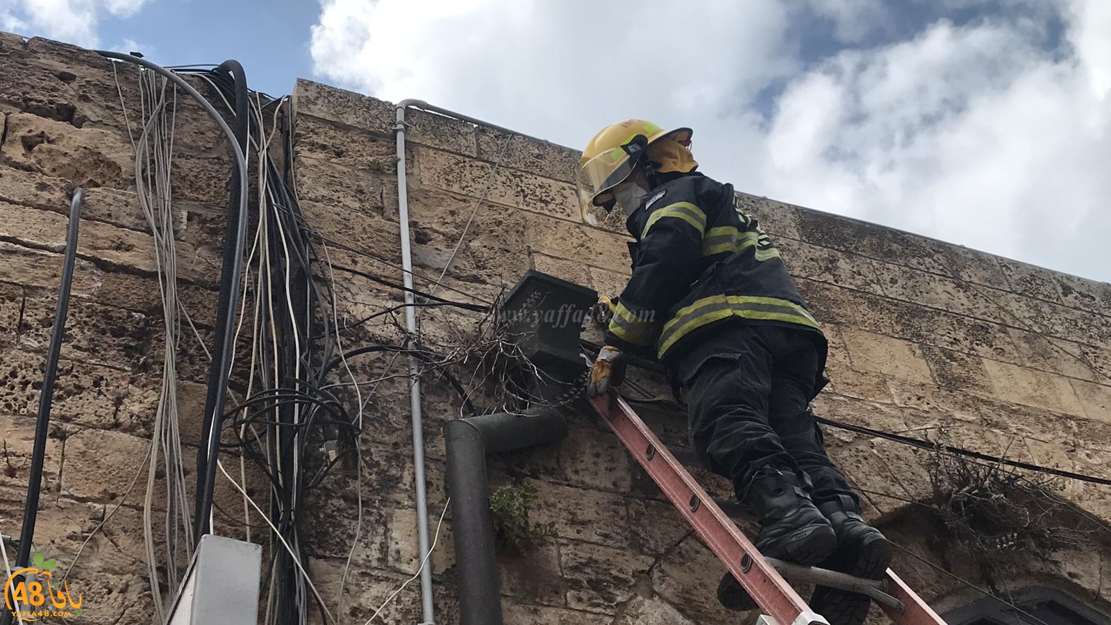  يافا: طواقم الاطفائية تُنقذ قطة عالقة في دوار الساعة 